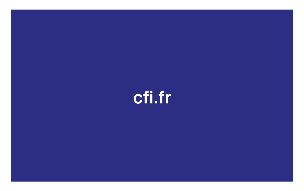 cfi-charte-graphique-51