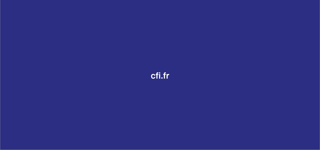 cfi-charte-graphique-53